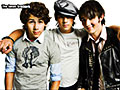 The Jonas Brothers