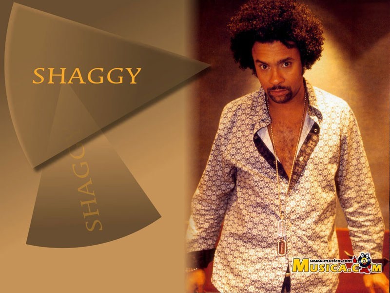 1 339 1 - Shaggy Shaggy